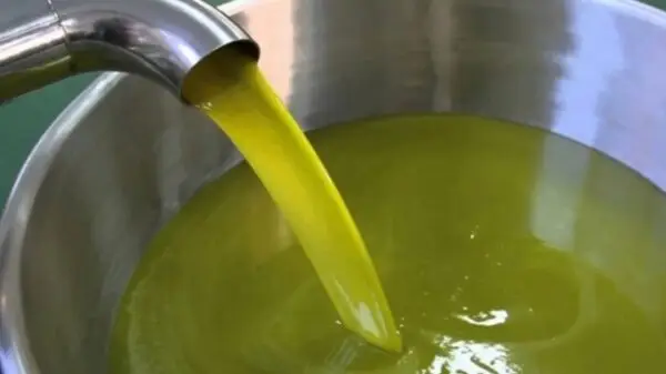 Extra Virgin Olive Oil – Cold Pressed